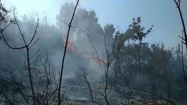 Riaktivizohen flakët e zjarrit në lagjen Boje të Krujës