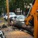 Moti i keq shkakton dëme në Shkodër/ Pemët e rrëzuara dëmtojnë makinat e parkuara