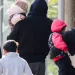 Rreth 3.5 milionë refugjatë në Gjermani