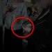 Reklamoheshin në faqen “Escort Tirana”/ Arrestohet një ruse dhe një ukrainase që shfrytëzonin vajza të huaja për prostitucion