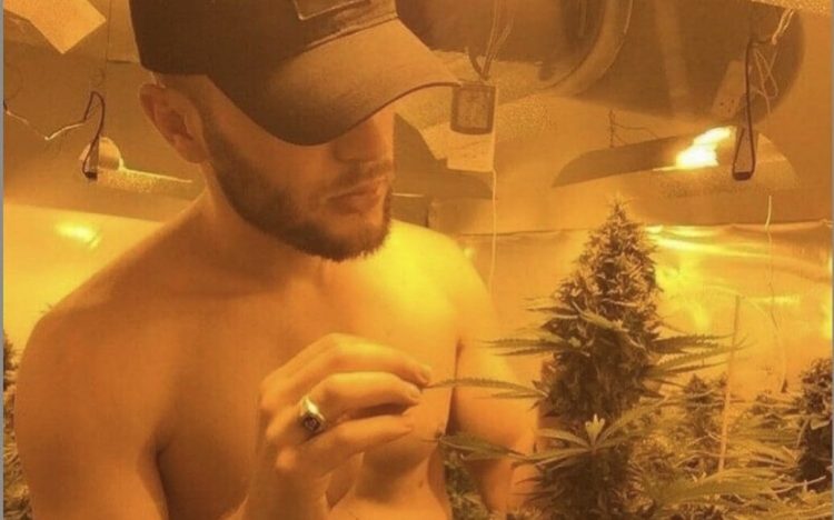 “Kërkohen punëtorë për shtëpi bari”, bosët shqiptarë të drogës në krizë për ‘fermerë’, nisin rekrutimet në rrjetet sociale 