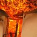 Flakët përfshijnë një banesë në Tiranë, shpëtohet 19-vjeçarja