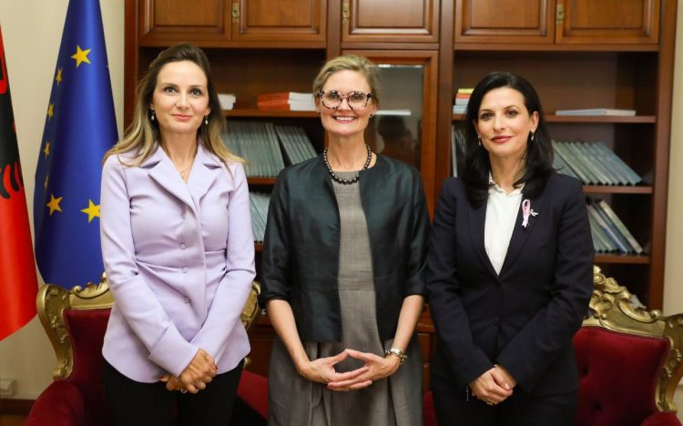 E Ngarkuara me Punë e SHBA takon Tabakun dhe Gjonajn, VanHorn: Fryma e përfshirjes e rëndësishme për procesin e integrimit në BE