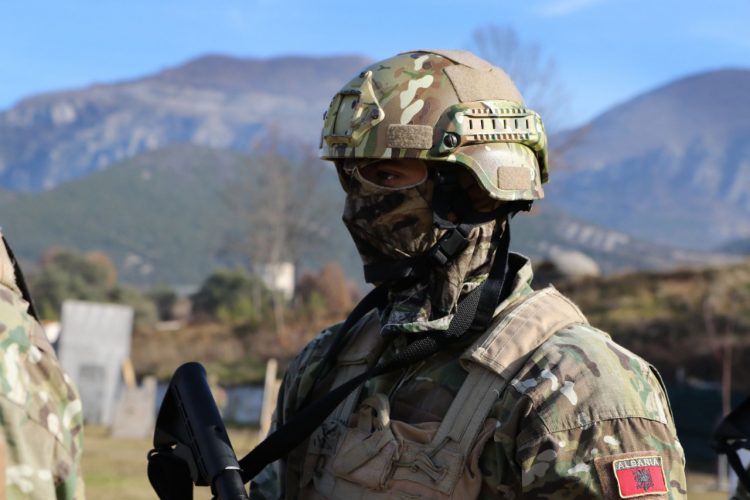 Rritja e trajtimit financiar/ Ministria e Mbrojtjes publikon kategoritë e tjera që e përfitojnë