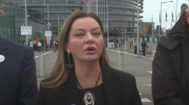 Deputetët e PD-së në Parlamentin Europian, Albana Vokshi tregon çfarë ndodhi: Gjetëm mbështetje…