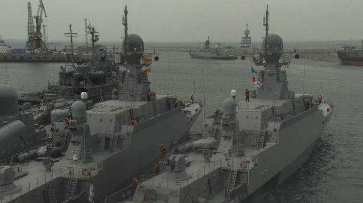 Stërvitjet dhe aktivitetet ushtarake kanë shkaktuar ndotje dhe ngordhje masive të fokave 