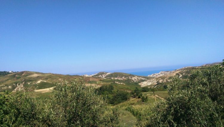 Tjetërsimi i 14 mijë metra katrorë tokë në Gjirin e Lalëzit, lihet në burg ish-drejtori i Hipotekës