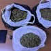 Iu gjetën mbi 3 kg drogë në makinë, arrestohen dy persona në Tiranë