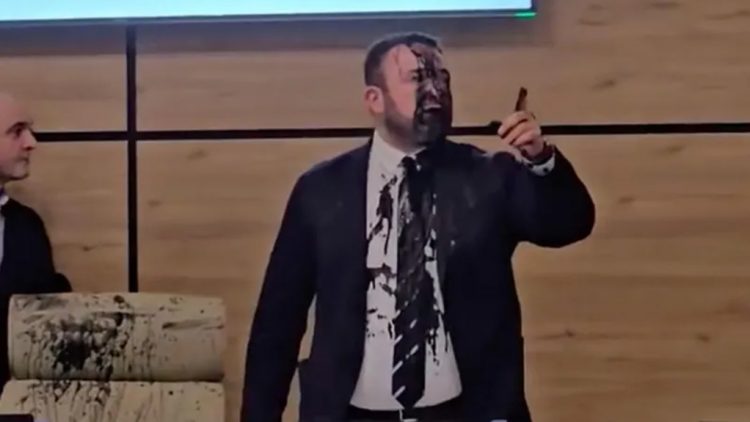 VIDEO/ Kreut të komisionit zgjedhor të Gjeorgjisë i hidhet bojë në fytyrë nga opozita