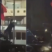 Polici në Maqedoninë e Veriut heq flamurin shqiptar në festat e nëntorit, zv/ministri i Brendshëm: Masë disiplinore për punonjësin 