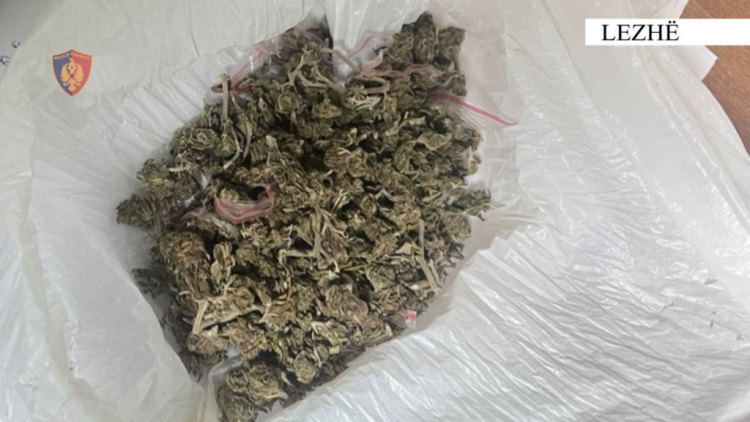 Drogën poshtë sediljes së “Golfit”, kapen 4 të rinjtë në Lezhë