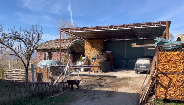 Detaje të reja nga abuzimi seksual i 16-vjeçares në Maliq! Flasin familjarët: Është çështje inati! Edisoni të dënohet 