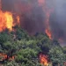 Zjarr në kufirin me Greqinë/ Vatra nisi në shtetin fqinj, forcat zjarrfikëse drejt vendngjarjes
