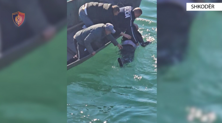 I moshuari hidhet nga ura e Bahçallëkut në lumë, policia ndërhyn në kohë, shpëtojnë 83-vjeçarin në Shkodër 