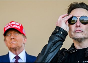 Trump mbështet Musk mbi çështjen e vizave për punonjësit e huaj të kualifikuar