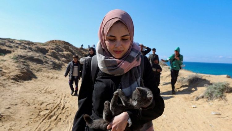 A do ta fundosë apo shpëtojë zgjidhjen me dy shtete propozimi i Trumpit për Gazën?