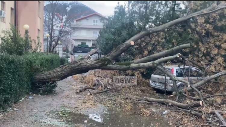 Era e fortë shkakton dëme në Lezhë, mijëra familje pa energji elektrike