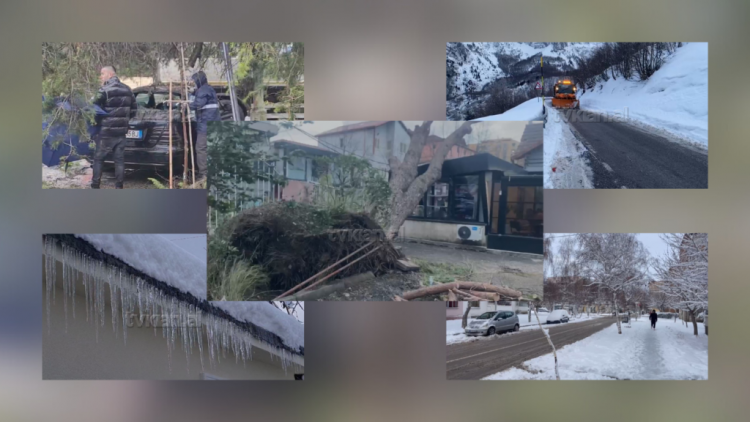 Si paraqitet situata e motit në Shqipëri: Nga shkuljet e pemëve deri te rëniet e depozitave
