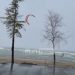 Video/ Sfidohen temperaturat e ulëta në Pogradec, sërf në liqen