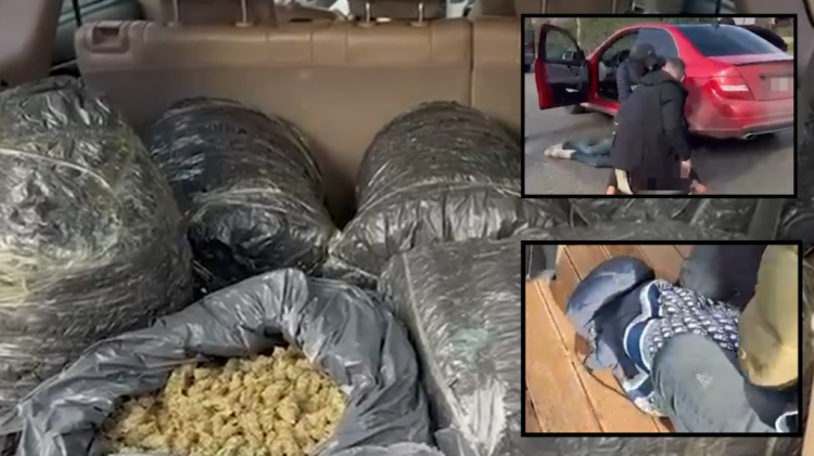 Po transportonin 60 kg drogë/ Arrestohen dy persona në Tiranë, shpallet në kërkim bashkëpunëtori i tyre