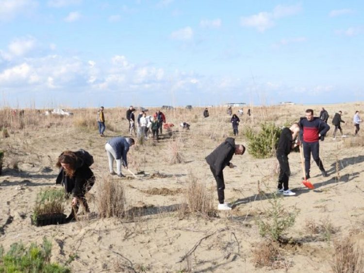 Mbillen 2300 pisha në plazhin e Divjakës, pjesë e nismës vullnetare u bënë edhe shtetas të huaj