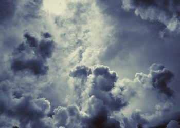 Shkencëtarët: Niveli i gazit në atmosferë arrin rekorde të reja. Thatësira dhe zjarret në botë kanë… 