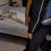I dënuar për vrasje në Gjermani, arrestohet një person në Tiranë! Ja çfarë i gjeti policia në banesë