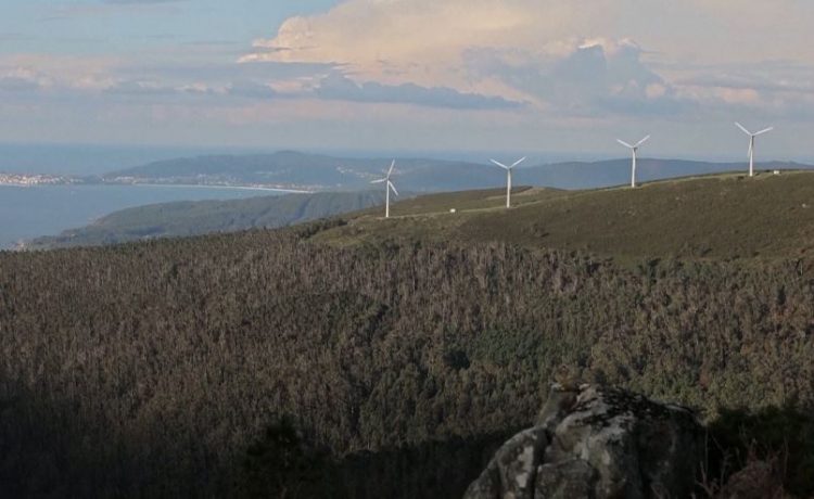 Spanjollët kundër projekteve të turbinave me erë