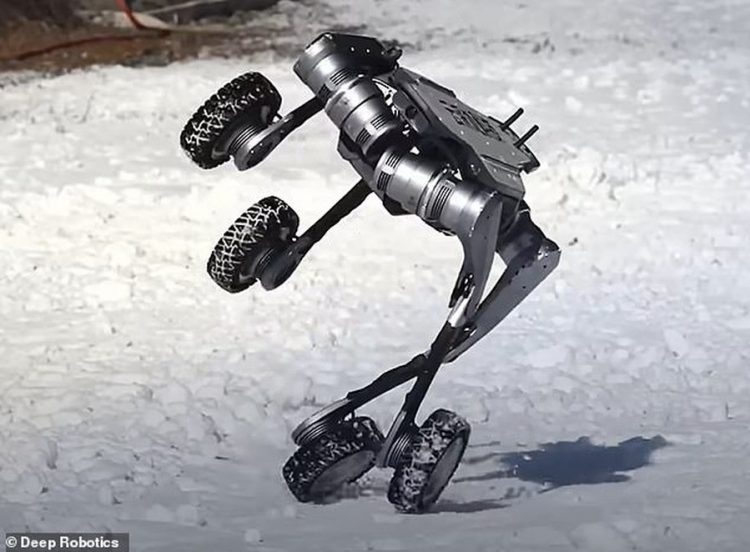 VIDEO/ Vrapon, kërcen dhe përshtatet me terrenin, qeni robot që duket sikur ka dalë nga filmat fantashkencë