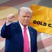 Çfarë është ‘karta e artë’ prej 5 milionë dollarësh që propozon Presidenti Trump?