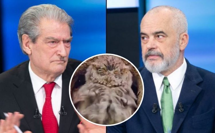 “Thaje kënetën me votë”, Rama ironizon Berishën me pamjet e një bufi dhe disa bretkosave, apel emigrantëve të regjistrohen për të votuar