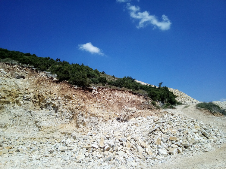 Humb jetën indiani në Korçë, po punonte te gurorja