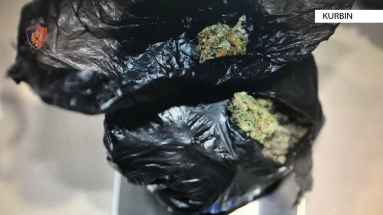 Kurbin/ U kap me qese plastike të mbushura plot me kanabis, policia arreston 43-vjeçarin