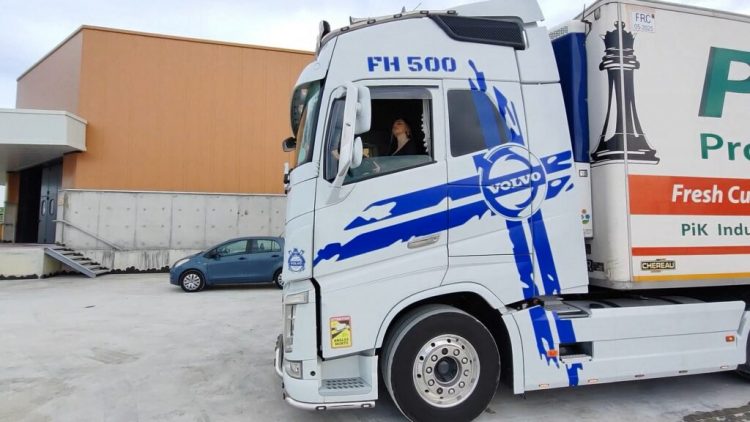 Kamion me mimoza për 8 Marsin në Lushnje