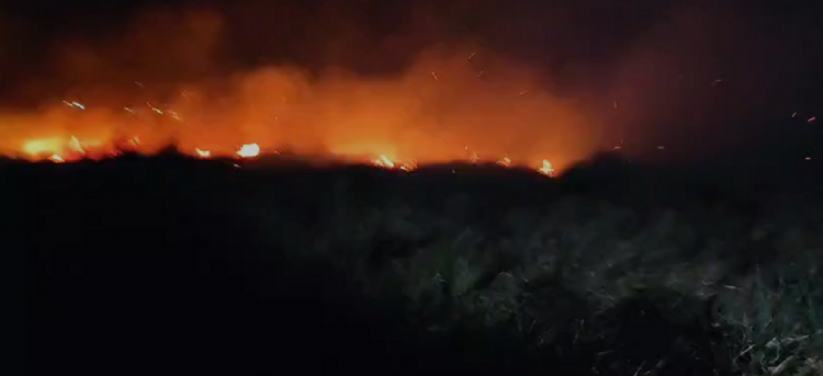 Zjarri i madh në Tragjas, rrezikohen shtëpi dhe biznese