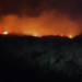 Zjarri i madh në Tragjas, rrezikohen shtëpi dhe biznese