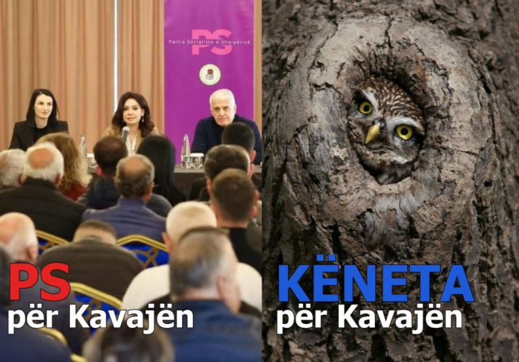 “Aleanca për Kënetën Madhështore”, Rama ndan posterin: I kanë lënë Kavajës bufin…