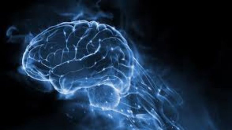 Çfarë duhet të ndryshoni në stilin tuaj të jetesës për të mbrojtur shëndetin e trurit?