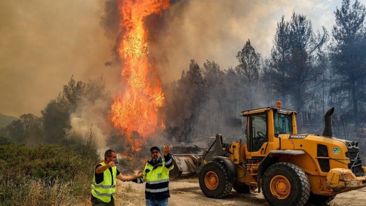 Zjarre masive në malet në perëndim të Jeruzalemit, Hamasi: Digjni gjithçka
