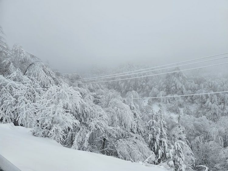 Humbi në malin e Pashtrikut, gjendet i pajetë 27-vjeçari