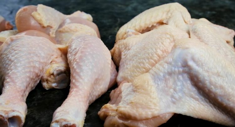 Mishi i pulave me salmonelë/ Policia ndalon administratorin e kompanisë dhe më pas procedohet në gjendje të lirë