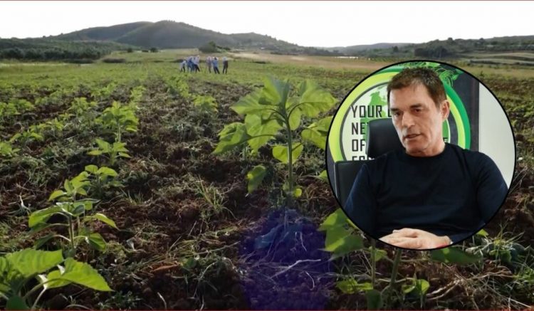 Tarifa 10% e Trump, eksportuesit shqiptarë kërkojnë ndihmën e qeverisë