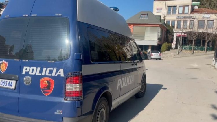 Vrasja e Egli Progës, shkon në 5 numri i të arrestuarve