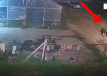 Kurbin/ Thyen xhamat e lokalit për të vjedhur, arrestohen në flagrancë dy persona