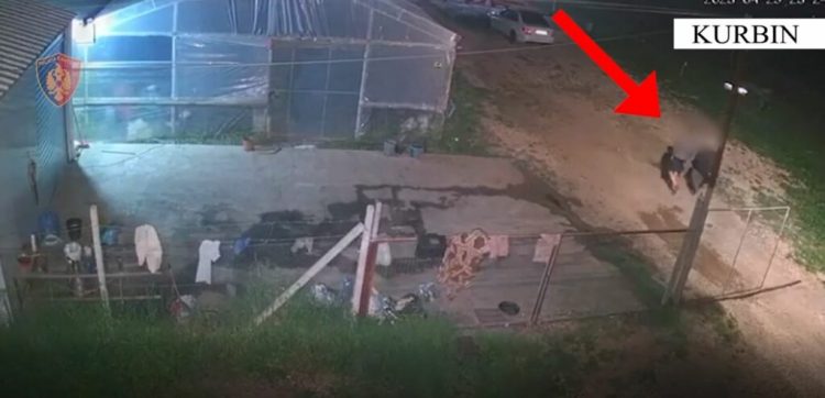 Kurbin/ Thyen xhamat e lokalit për të vjedhur, arrestohen në flagrancë dy persona