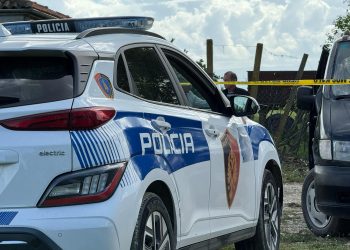 Hodhën sende të forta gjatë ndeshjes Partizani-Elbasani, policia procedon 3 të rinj