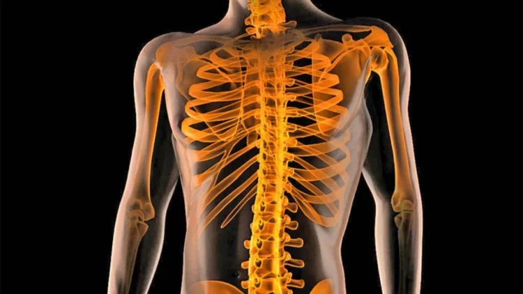 Shenjat që tregojnë se trupit i duhet të pushojë dhe çlodhet