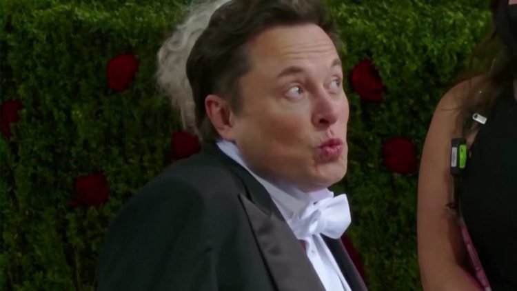 NYT: Elon Musk përdor ekstazi, kërpudha halucinogjene dhe ketaminë