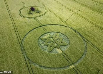 Rikthehen rrathët misteriozë në fusha, shpërthejnë konspiracionet mbi UFO-t