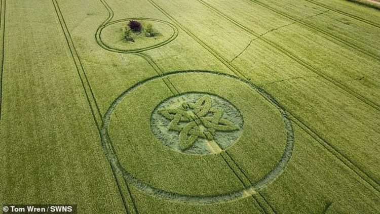 Rikthehen rrathët misteriozë në fusha, shpërthejnë konspiracionet mbi UFO-t